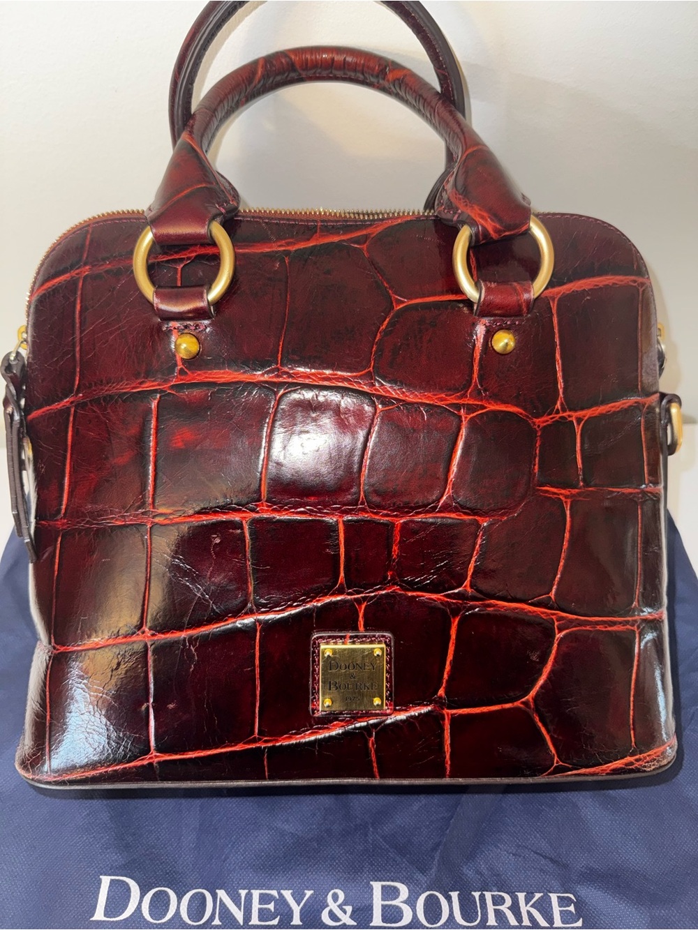 Dooney & Bourke Croc-Embossed Cameron Satchel